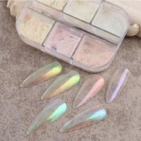 İnci Tozu Protez Tırnak Nail Art Tırnak Tozu